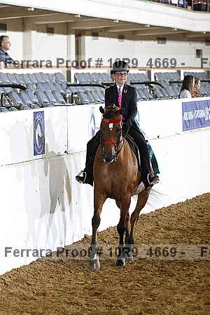 Proof 10r9_4669