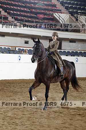 Proof 10r9_4675