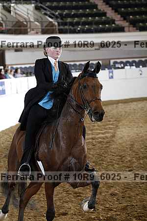 Proof 10r9_6025
