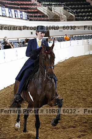 Proof 10r9_6032