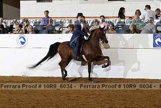 Proof 10r9_6034