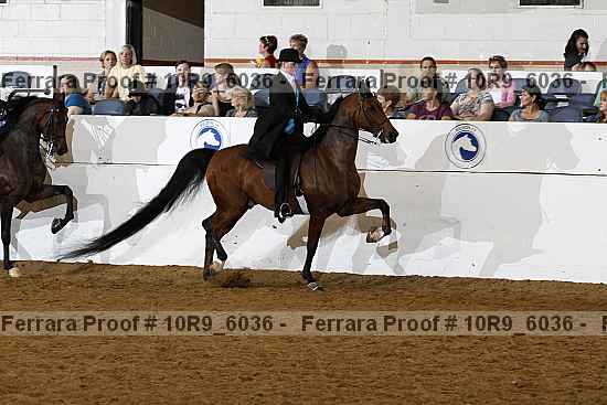 Proof 10r9_6036