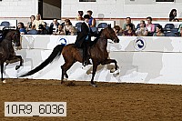 10r9_6036 proof