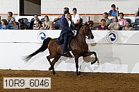 10r9_6046 proof