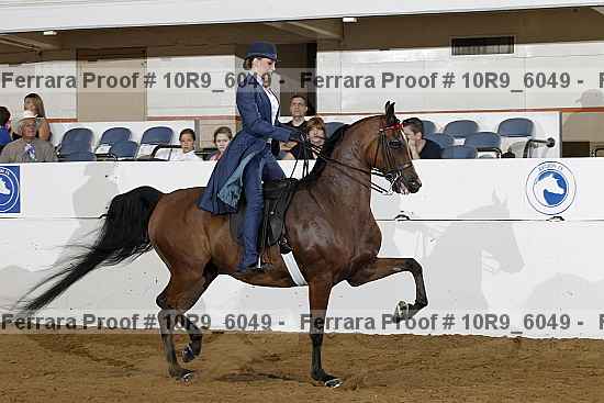 Proof 10r9_6049