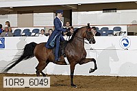 10r9_6049 proof