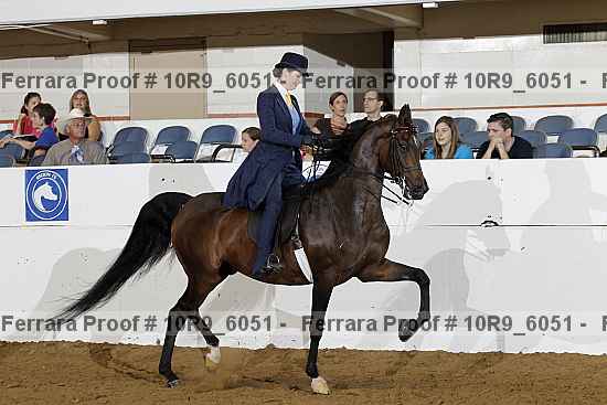 Proof 10r9_6051