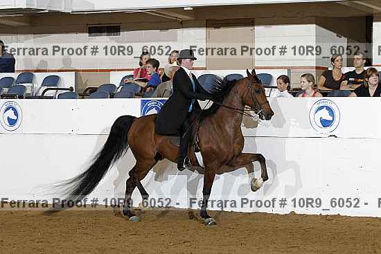 Proof 10r9_6052