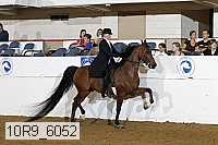 10r9_6052 proof