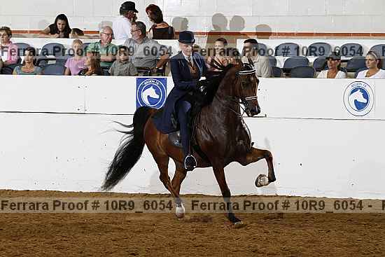 Proof 10r9_6054