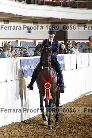 Proof 10r9_6056