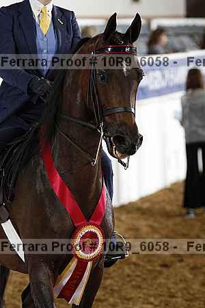 Proof 10r9_6058