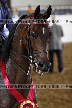 Proof 10r9_6059