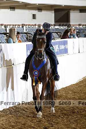 Proof 10r9_6060