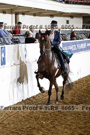 Proof 10r9_6065