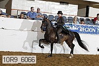 10r9_6066 proof
