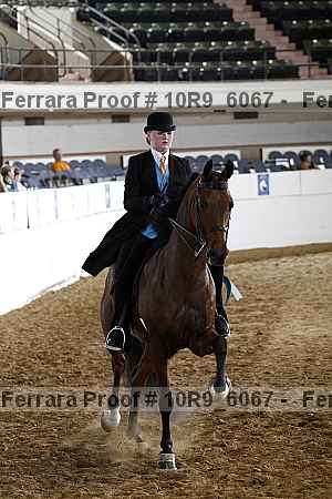 Proof 10r9_6067