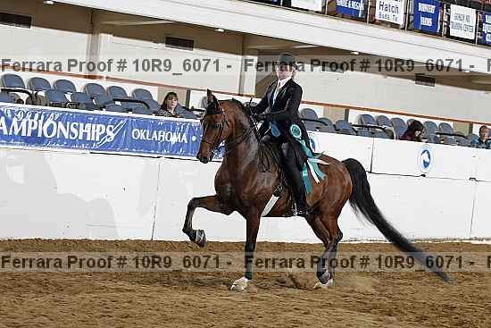 Proof 10r9_6071