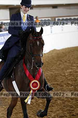 Proof 10r9_6072