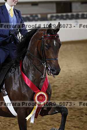Proof 10r9_6073