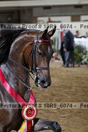 Proof 10r9_6074