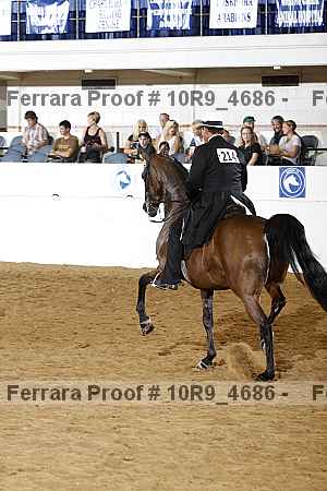 Proof 10r9_4686