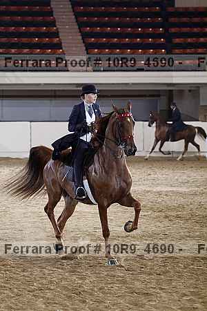 Proof 10r9_4690