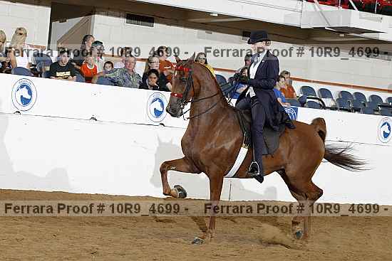 Proof 10r9_4699