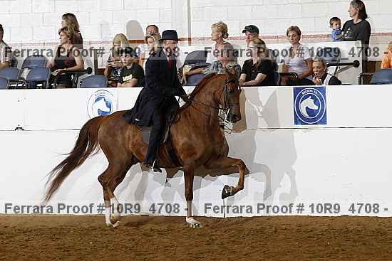 Proof 10r9_4708