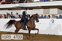 10r9_4709 proof