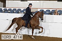 10r9_4714 proof