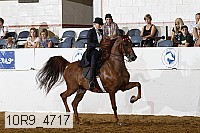10r9_4717 proof