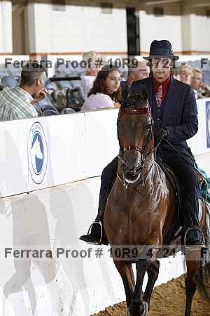 Proof 10r9_4724
