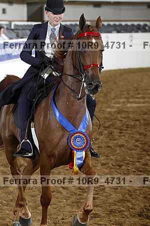 Proof 10r9_4731