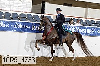 10r9_4733 proof