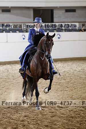 Proof 10r9_4737