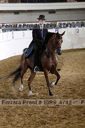 Proof 10r9_4742