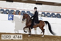 10r9_4744 proof