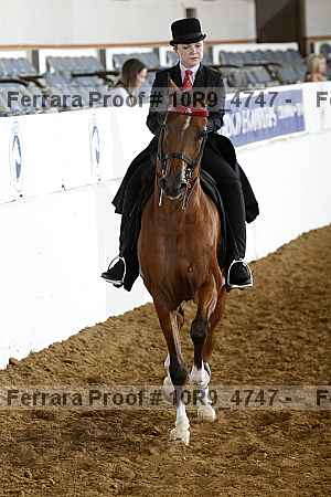 Proof 10r9_4747