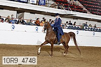 10r9_4748 proof