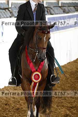 Proof 10r9_4757