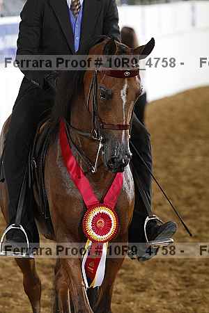 Proof 10r9_4758