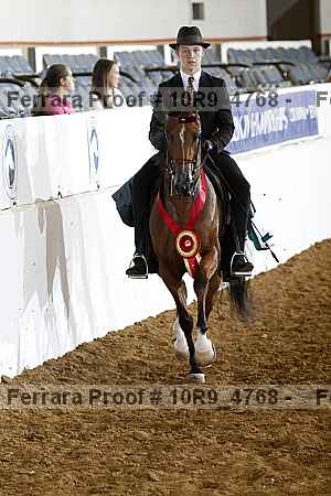Proof 10r9_4768