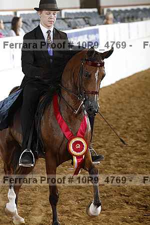 Proof 10r9_4769