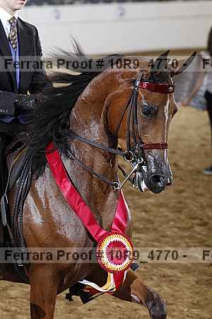 Proof 10r9_4770