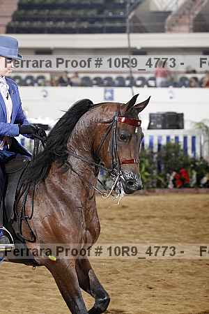 Proof 10r9_4773