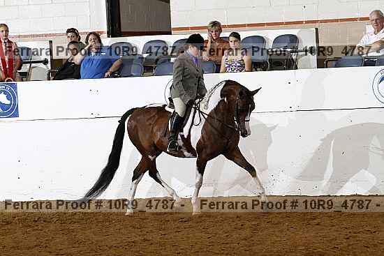 Proof 10r9_4787