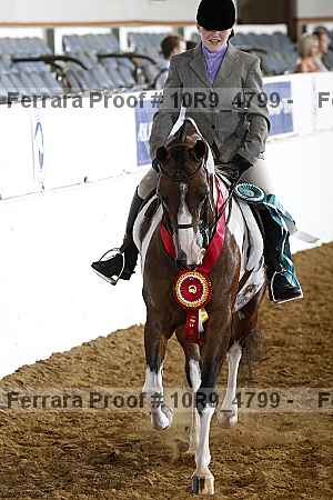 Proof 10r9_4799