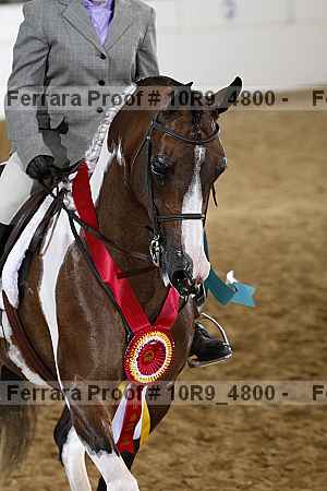 Proof 10r9_4800