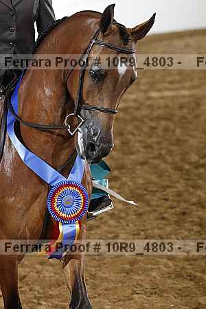 Proof 10r9_4803